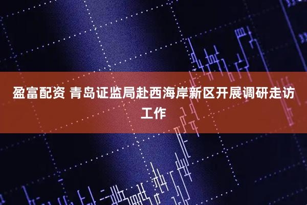 盈富配资 青岛证监局赴西海岸新区开展调研走访工作